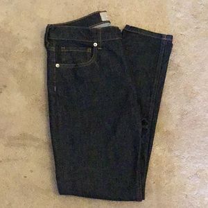 Everlane Dark Skinny Jean